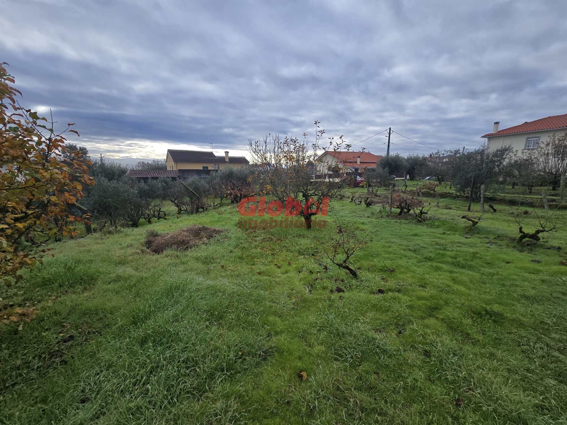 Terreno  Para Venda em Viseu